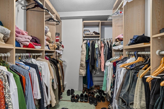 401 Harmon Cv, Secaucus, NJ 07094 - view of spacious closet