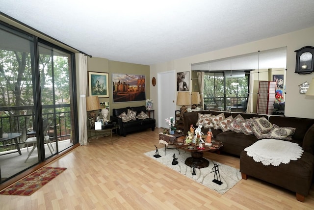 living room with floor to ceiling windows and light hardwood / wood-style flooring