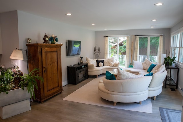 living room featuring wood finished floors and recessed lighting