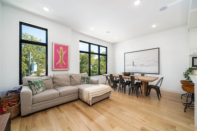 living room with light wood-type flooring