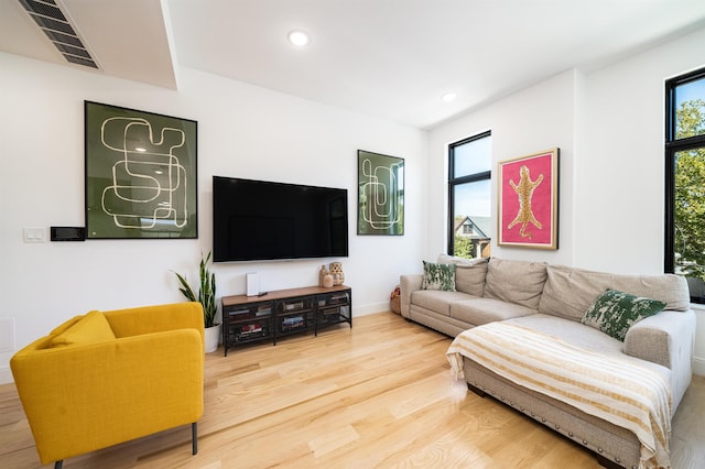 living room with wood-type flooring