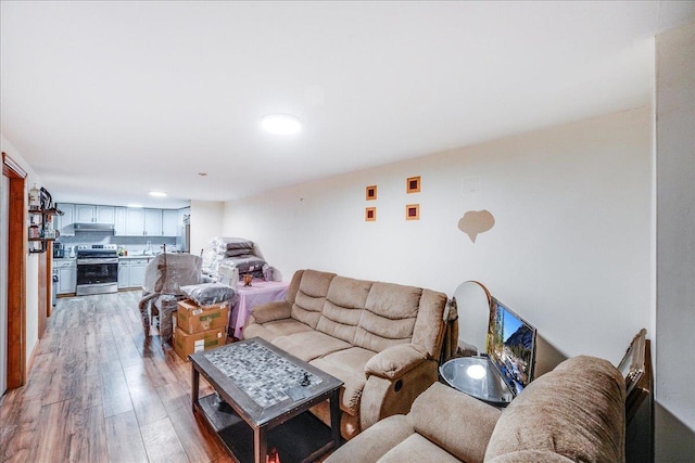 living room with wood-type flooring