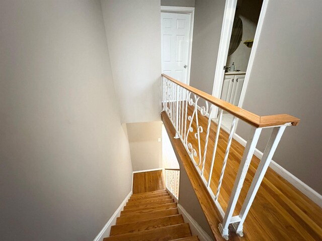 40 Linden Ave, Jersey City, NJ 07305 - photo 8