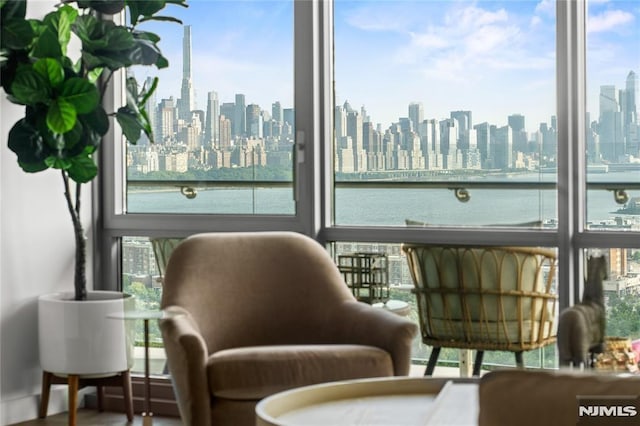 320 Adolphus Ave Unit 909, Cliffside Park, NJ 07010 - living area with a skyline view