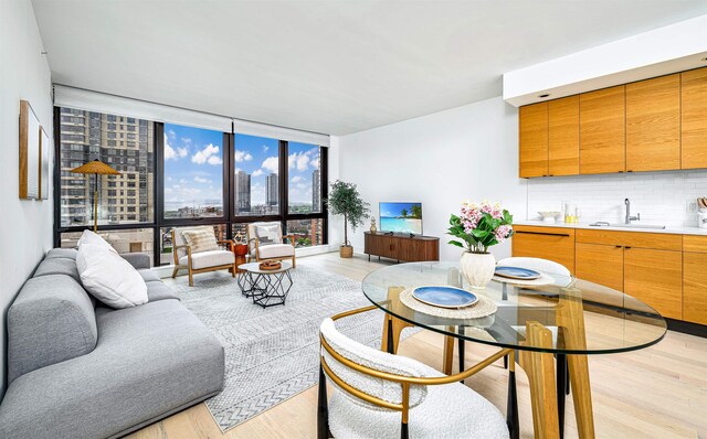 10 Provost St Unit 2405, Jersey City, NJ 07302 - living area featuring light wood-style floors and a wall of windows