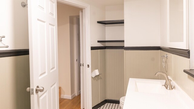 bathroom with a sink and toilet