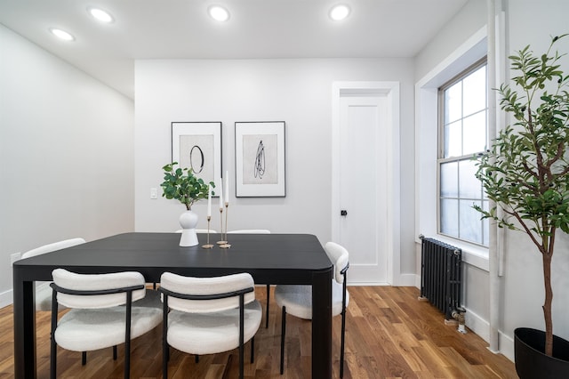 dining room featuring wood-type flooring, radiator, and a healthy amount of sunlight