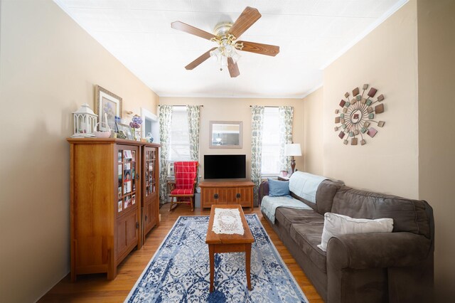 364 New York Ave, Jersey City, NJ 07307 - photo 13