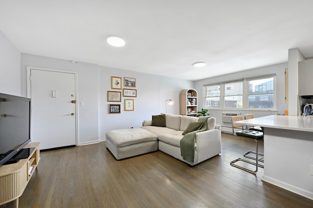 living area featuring baseboards and dark wood-type flooring
