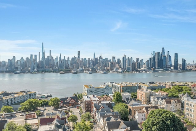 drone / aerial view featuring a city view