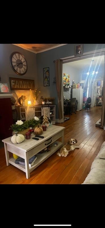 interior space featuring hardwood / wood-style floors and ornamental molding