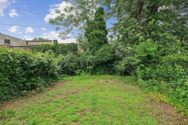 81 Atlantic St, Jersey City, NJ 07304 - view of yard