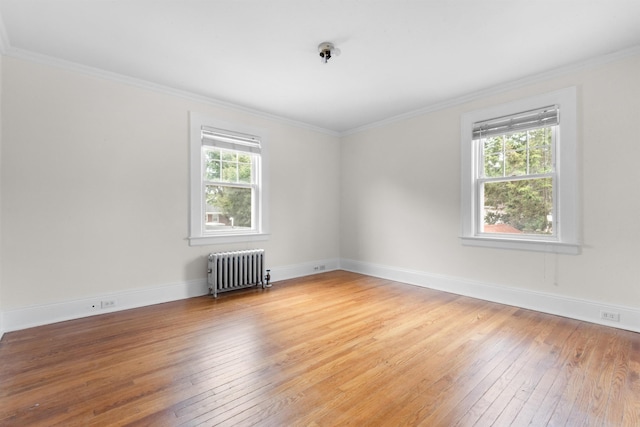 144 Irving Pl, Rutherford, NJ 07070 - photo 17