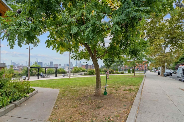 view of community featuring a lawn