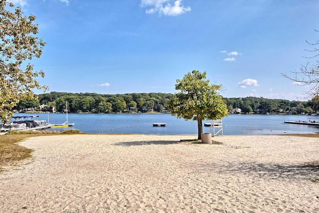 64 Erie Ave, Rockaway Township, NJ 07866 - photo 36