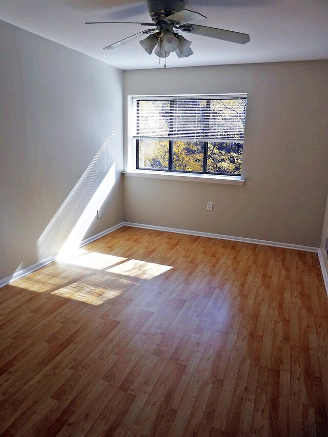 spare room with wood-type flooring and ceiling fan