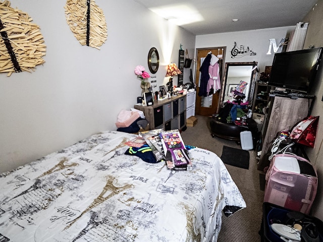 62 Hancock Ave, Jersey City, NJ 07307 - view of carpeted bedroom