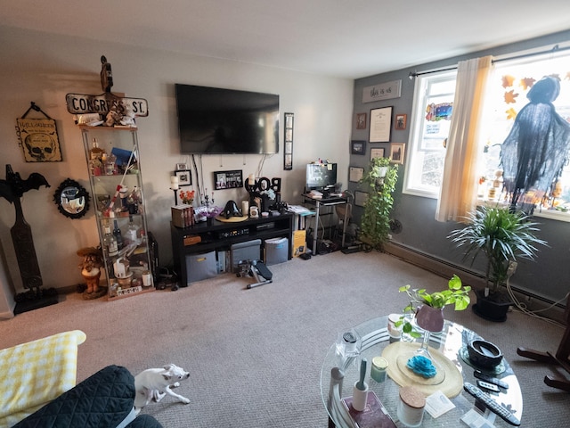 62 Hancock Ave, Jersey City, NJ 07307 - living room featuring carpet flooring