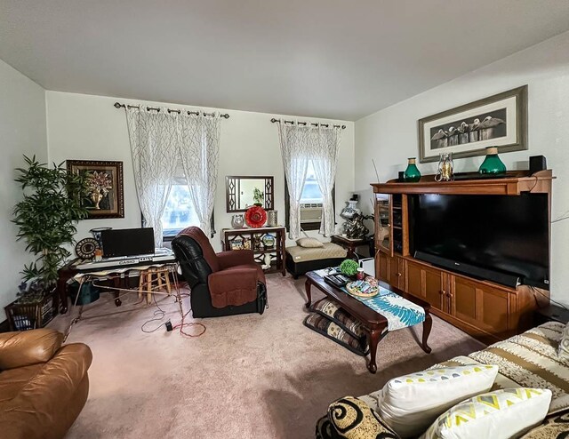 38 Van Reypen St, Jersey City, NJ 07306 - photo 13