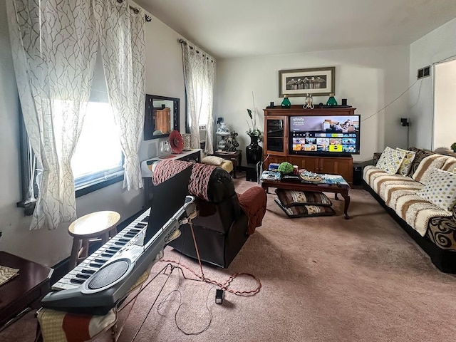38 Van Reypen St, Jersey City, NJ 07306 - photo 8
