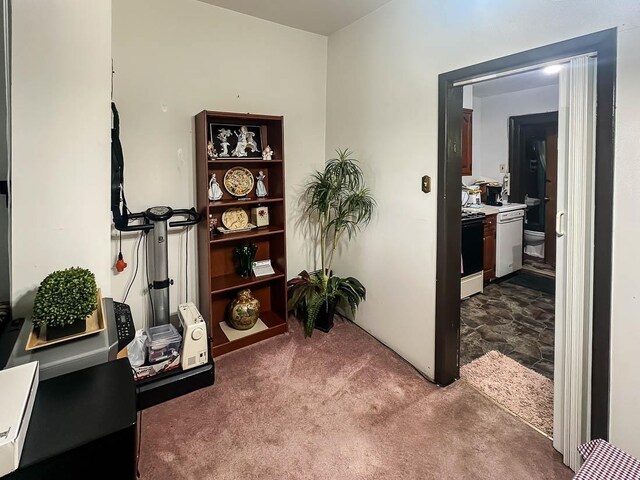 38 Van Reypen St, Jersey City, NJ 07306 - photo 10
