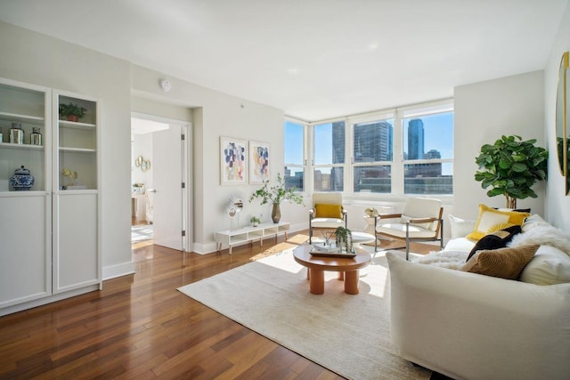 living area featuring baseboards, dark wood-style flooring, and a city view