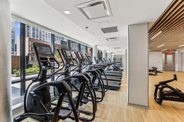 gym featuring light hardwood / wood-style flooring, a wealth of natural light, and a wall of windows