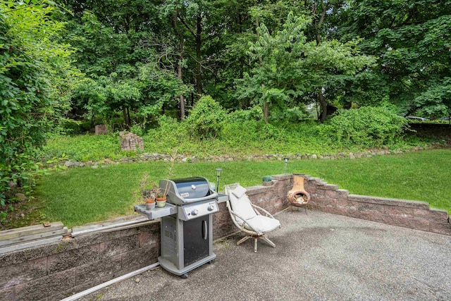 491 Mount Pleasant Ave, West Orange, NJ 07052 - photo 37