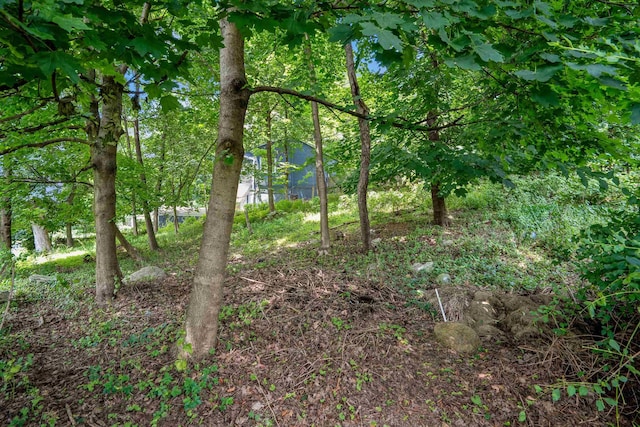 491 Mount Pleasant Ave, West Orange, NJ 07052 - photo 38