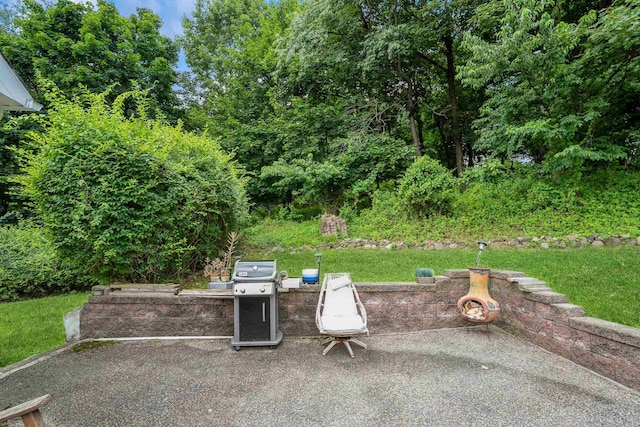 491 Mount Pleasant Ave, West Orange, NJ 07052 - photo 36