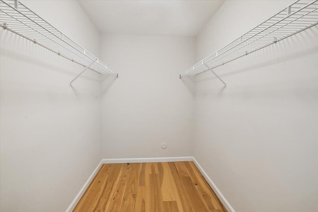 86 Cottonwood St, Jersey City, NJ 07305 - photo 21