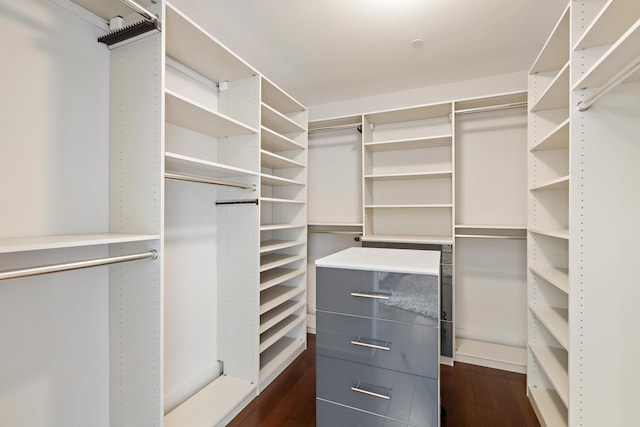 150 Henley Pl Unit 201, Weehawken, NJ 07086 - walk in closet featuring dark wood-style flooring