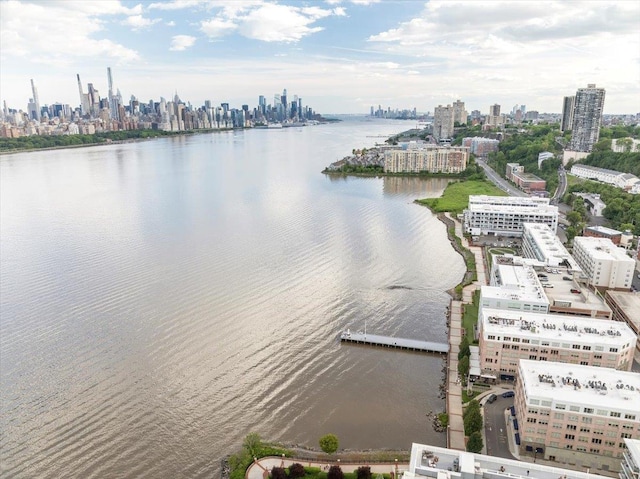 9 Somerset Ln Unit 118, Edgewater, NJ 07020 - drone / aerial view of city skyline and a large body of water