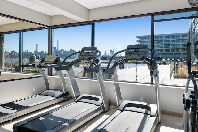 9 Somerset Ln Unit 118, Edgewater, NJ 07020 - exercise room featuring a view of skyline and healthy amount of natural light