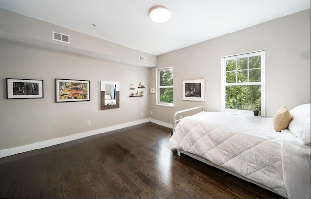 126 Delaware Ave Unit 12, Jersey City, NJ 07306 - bedroom featuring dark wood finished floors and multiple windows