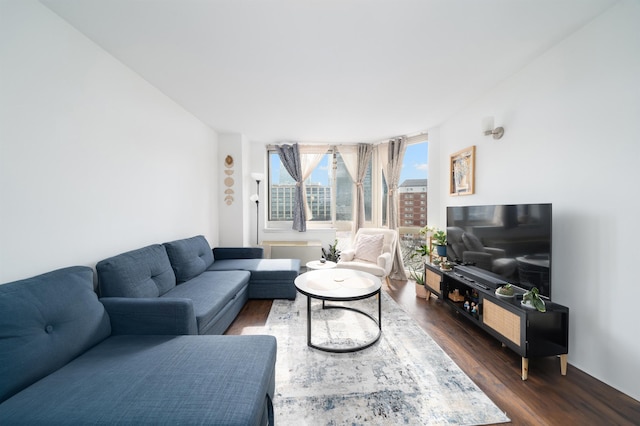 living room featuring dark wood-type flooring