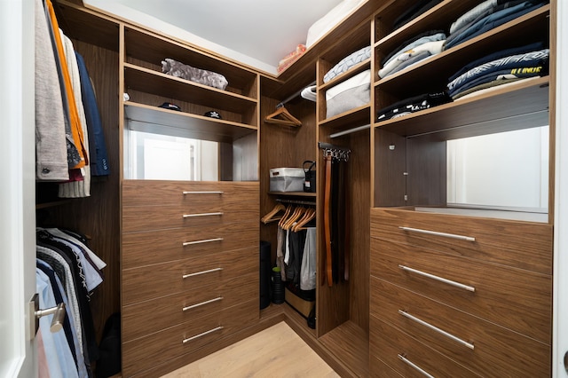 spacious closet with wood finished floors