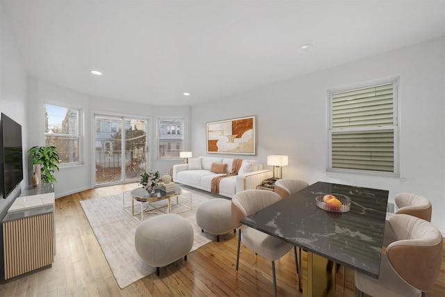 living room with light wood-type flooring