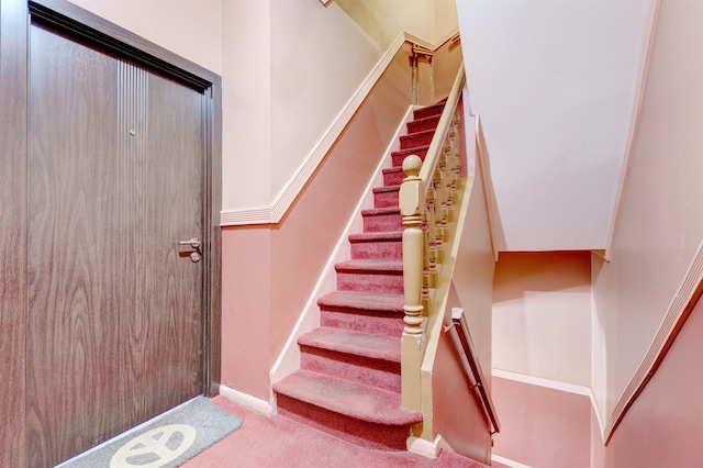 staircase featuring carpet