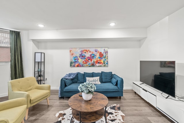 living room with hardwood / wood-style flooring