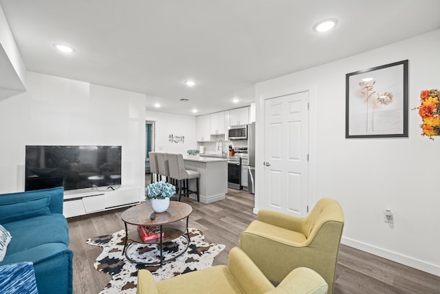 living room featuring wood-type flooring and sink