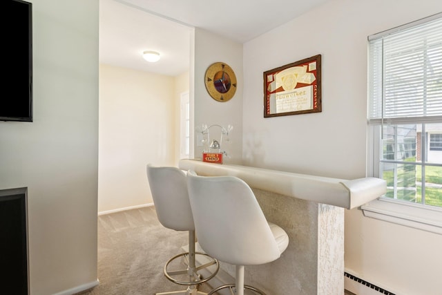 1072 Argyll Cir, Lakewood Township, NJ 08701 - bar featuring a baseboard radiator, carpet floors, and baseboards