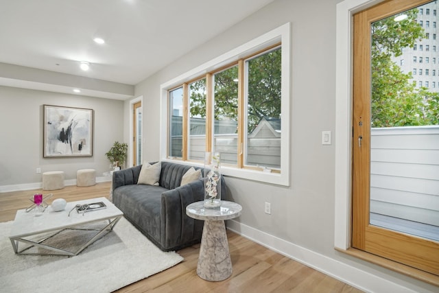 living room featuring hardwood / wood-style flooring