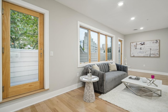 living room featuring wood-type flooring