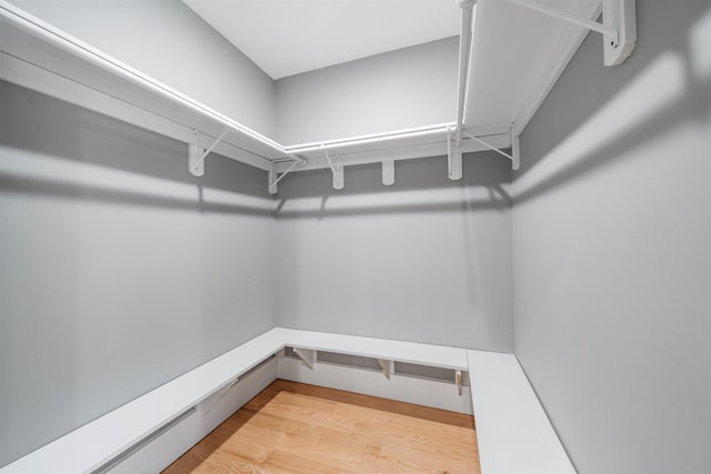 spacious closet featuring wood finished floors