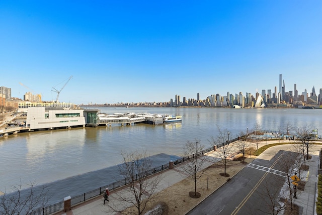 view of water feature featuring a city view and a dock