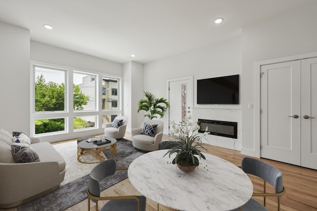 living room with a fireplace and light hardwood / wood-style floors