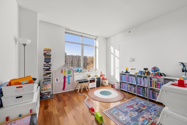 playroom with wood-type flooring