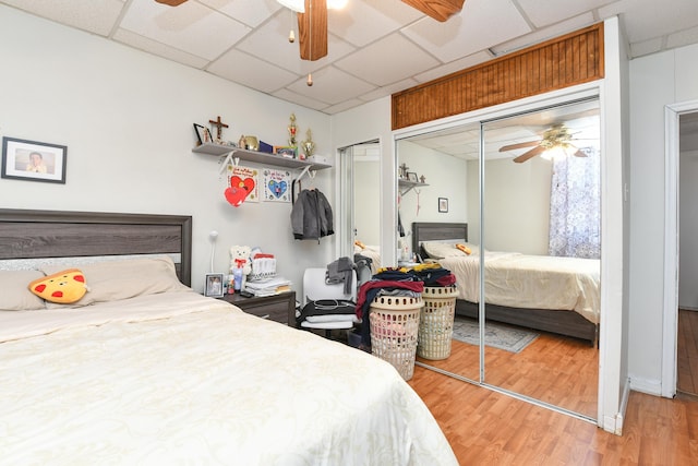 bedroom featuring hardwood / wood-style flooring, a drop ceiling, and ceiling fan