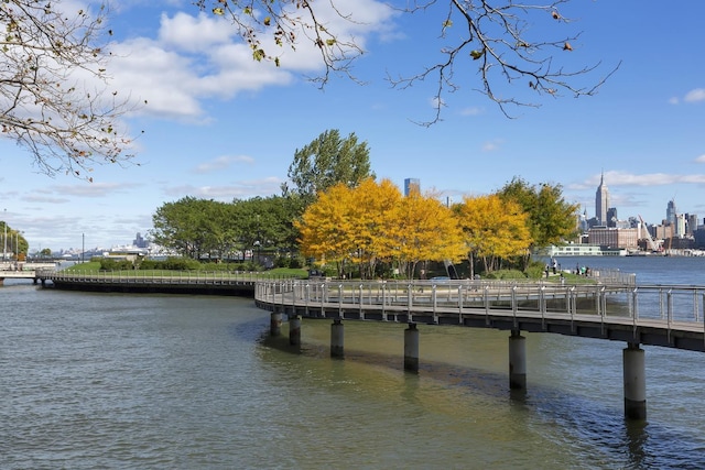 110 Washington St Unit 8, Hoboken, NJ 07030 - dock area with a water view